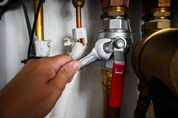 Best Plumbing Services Near Me  in Meadow Vista, CA